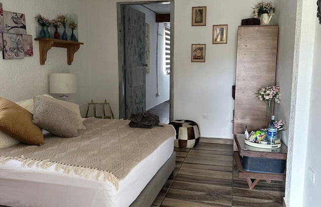 ecohotel zona 7 - Photo 33