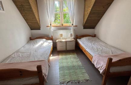 Mandarynkowy - Foto 15