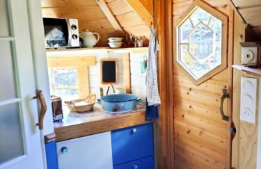 Ophrys ha Melenig - Foto 34