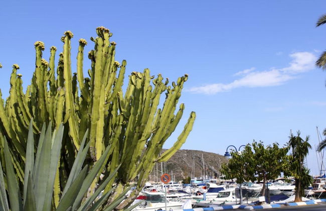 Rosal in El Tosalet With 5 Bedrooms and 3 Bathrooms - Foto 25