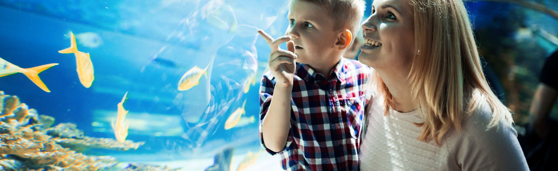 Entrada a SEA LIFE® Orlando