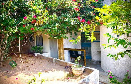 Paradise Camp - Foto 19