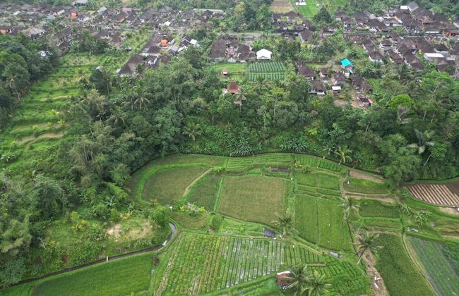 Yas Rumah Kita - Foto 19