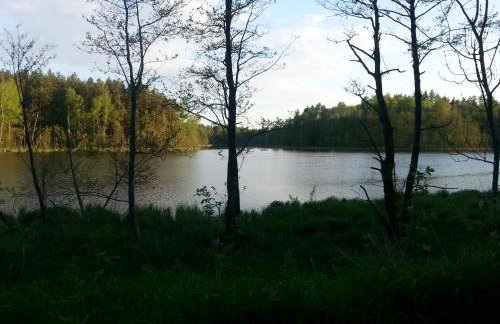 Wiejska Chata - Foto 57