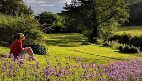 La Forge, Le Banquet aux Eyzies - Foto 3