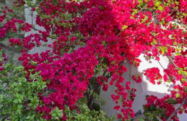 Garden Village House in Pythagorio-Hora, Samos Island - Foto 21