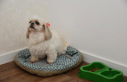 Vila do Centro Apart Hotel - Foto 21