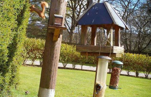 Craig Cottage - Photo 16