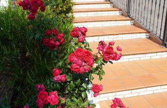 ALMAR, Apartamento en Luanco. - Foto 66