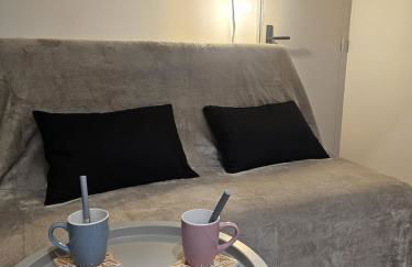 Le Ptit nid Cocon au cœur du centre ville - Photo 14