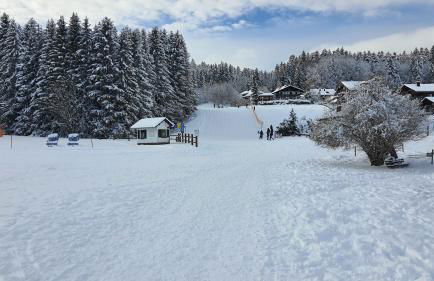 Ferienwohnung Seeblick mit Balkon - Mein Schwarzwaldhäusle - Foto 19