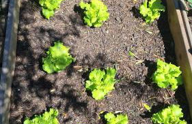 Quinta da Fé - Foto 33