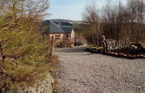 Silver Birch Treehouse - Foto 17