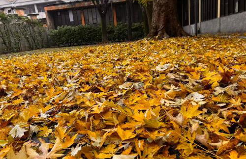 Vivi Milano B - Elegant & Bright 5-Bedroom Flexible Apartment Near Fair with Free Parking - Foto 36