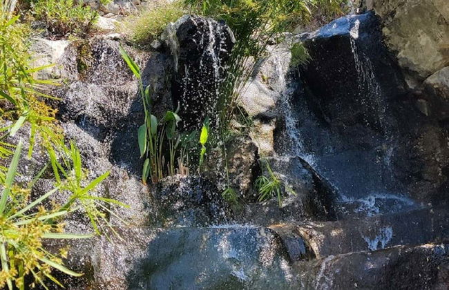 Eze Guided Tour - Photo 7