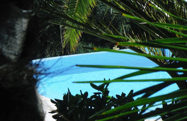 Lou Trelus - Foto 22