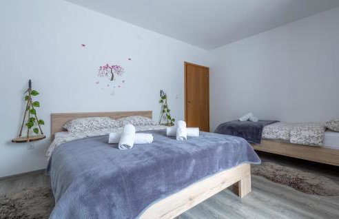 Awesome Home In Novo Zvecevo With Sauna - Foto 6