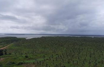 APTO SALINAS EXCLUSIVE RESORT - 04 Hóspedes Adultos e 01 Criança até 03 anos - Photo 33