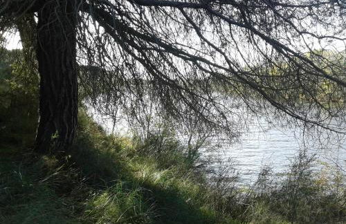 PINAR DE LAS CABAÑUELAS - Foto 48