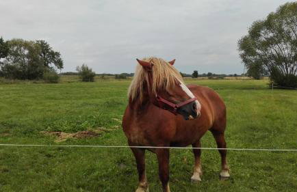 Dom w spokojnej okolicy - Foto 18