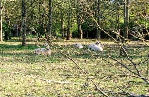 Les Clés Nature - Foto 16