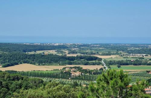 Le Pinetine - Foto 23