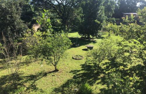 Sitio Billo - Foto 36