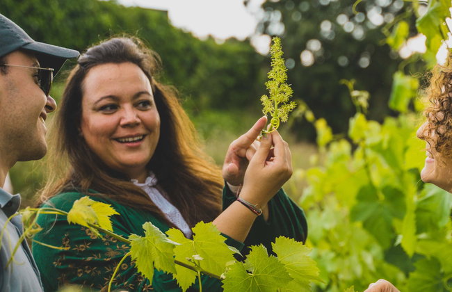 Visita a la bodega Mas Bertran - Foto 1