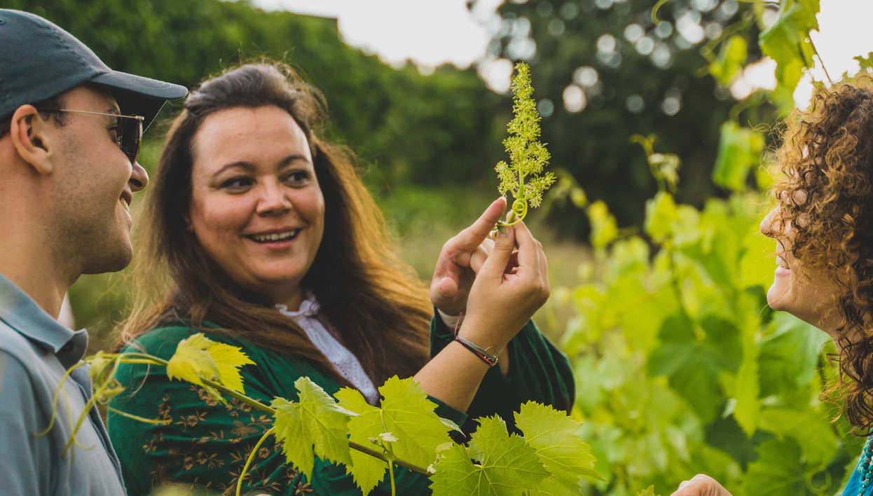 Visita a la bodega Mas Bertran - Foto 1, Visita a la bodega Mas Bertran