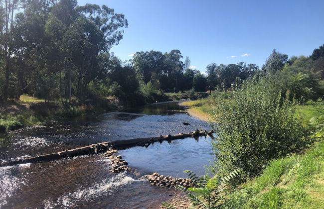 Discovery Parks - Mount Buffalo - Photo 68