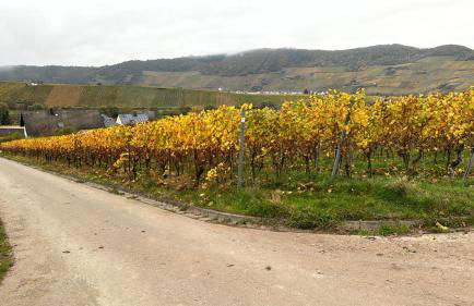 Gästehaus Lydia - Foto 46