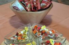 Apartmani Horvat - Varaždinske Toplice - Foto 7