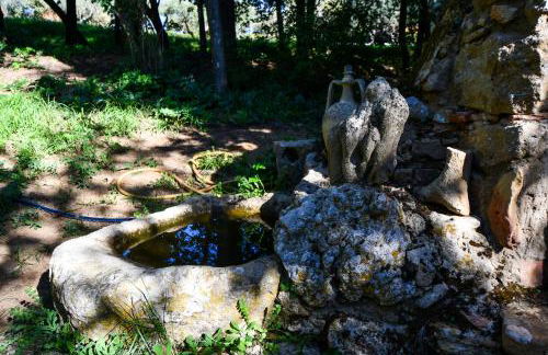 Dream House - Foto 50