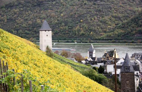 Ferienwohnungen-In-Bacharach - Foto 7