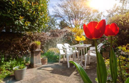 Bluebell Cottage - Norfolk Cottage Agency - Foto 21