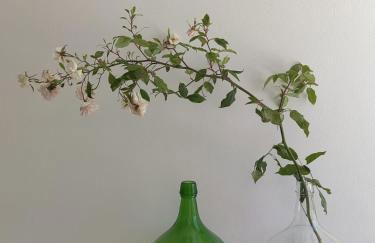 Casinha do Chico - Foto 18