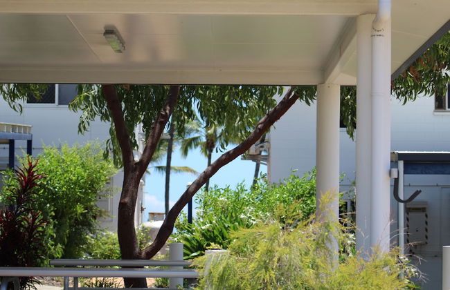 QCWA Kissing Point Units - Foto 51