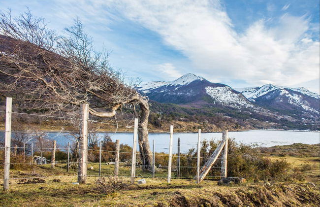 Navarino Island Tour - Photo 1