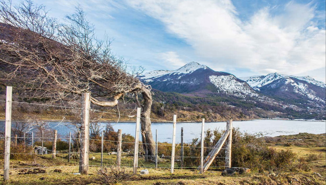 Scenery on Navarino Island