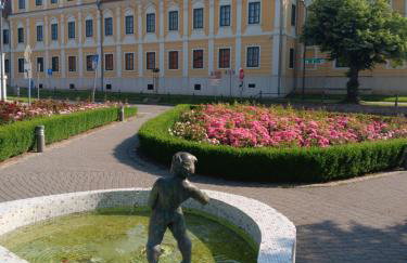 Apartman Dunav - Foto 41