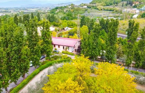 Lake & Country Holidays - Foto 34