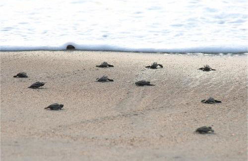 Stay at The Salty Gal - 4 Minute Walk to both Carolina and Kure Beaches - Foto 55