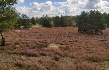 Ferienhof-Jameln-Lueneburger-Heide - Foto 32