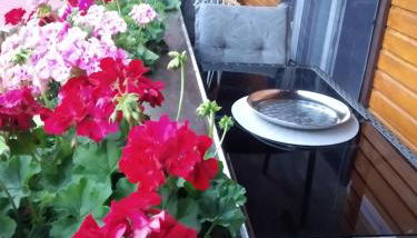 Ferienwohnung Sonnenblick - Foto 3