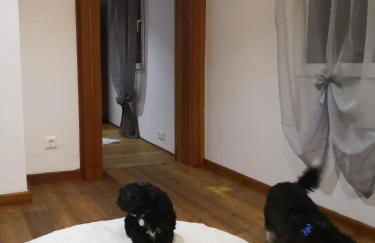 Haus am Fluss - Photo 17