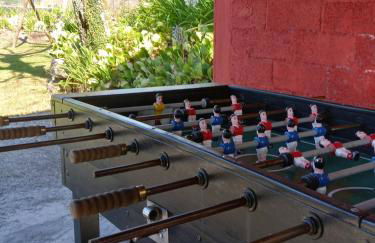 Casa dos Pinheiros - Pinheiros Farm House - Foto 32