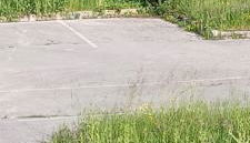 Les Cèdres - Foto 3