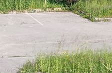 Les Cèdres - Foto 3