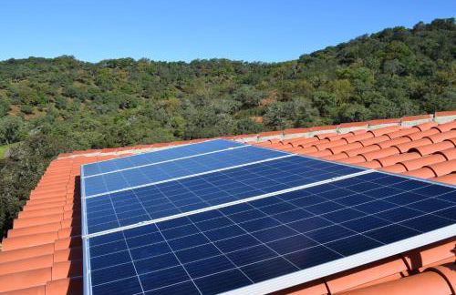 Finca Bravo - Foto 77