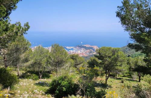 La Pinède de La Turbie - Appt vue mer et montagne - Foto 15